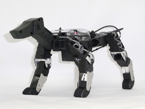 Robot chó